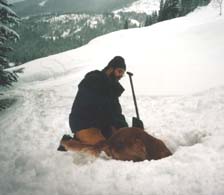 Cooper makes a find at Stevens Pass - 62K