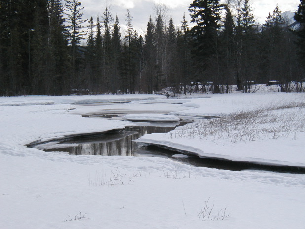 Day3 - Liard Creek